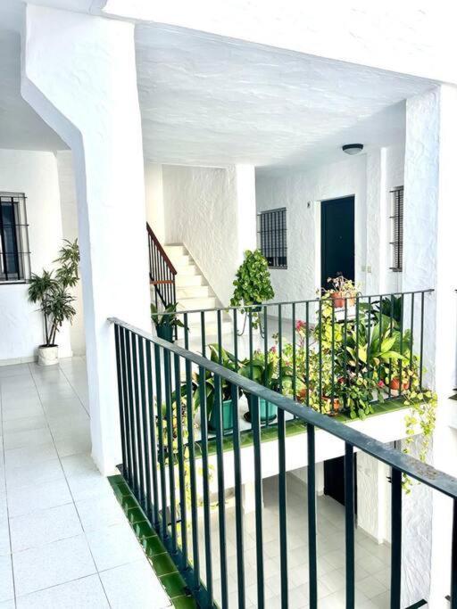 Ferienwohnung El Gato Gris Conil De La Frontera Exterior foto